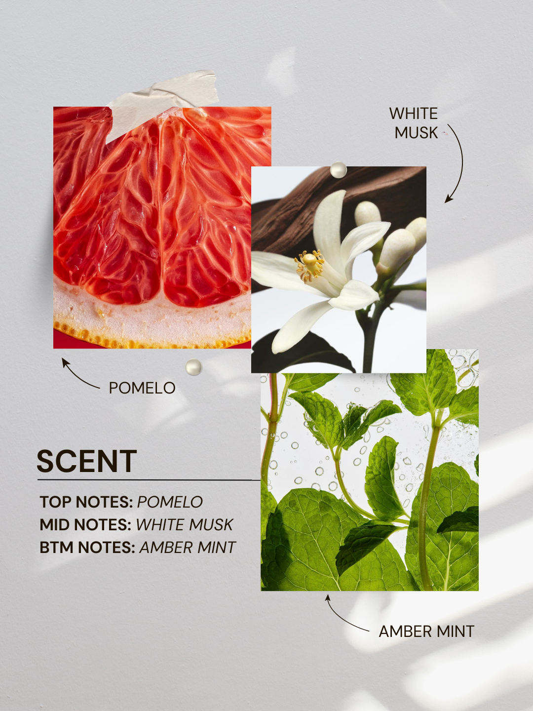 Scalp Booster Hair Tonic