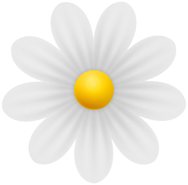 files/Daisy_White_Flower_PNG_Transparent_Clipart_1.png