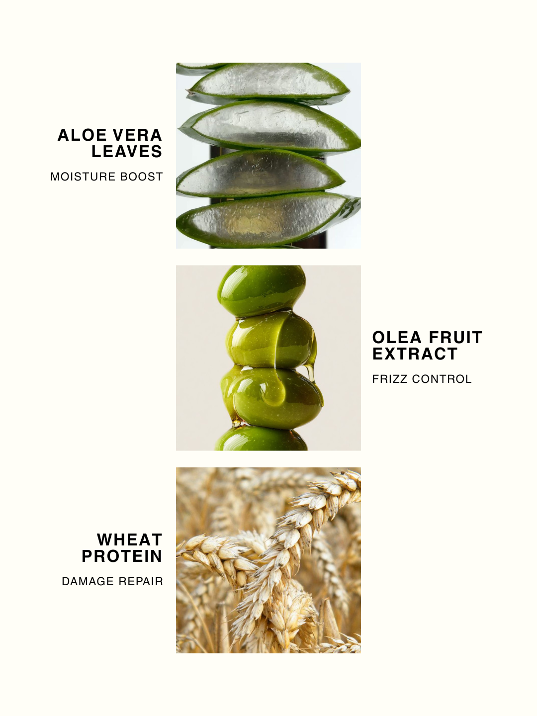 Freesia Bloom Hair Shampoo