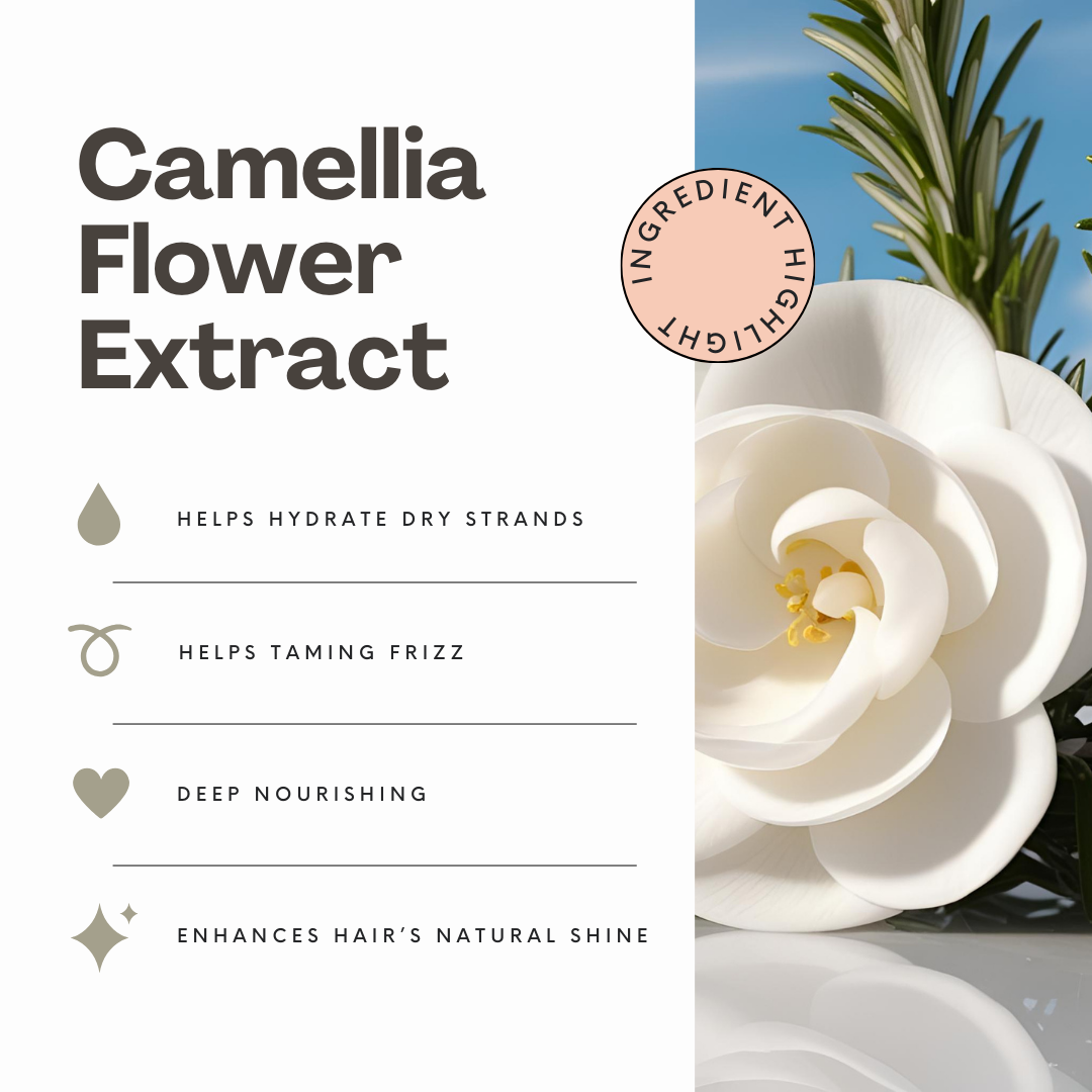 [Limited-Time] Hair Care Essential Bundle