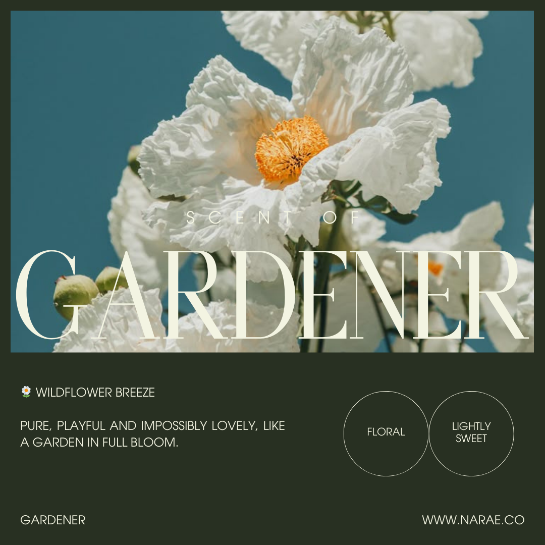 Hair Serum - Gardener 100ml 【For Dry, Frizzy & Damaged Hair】