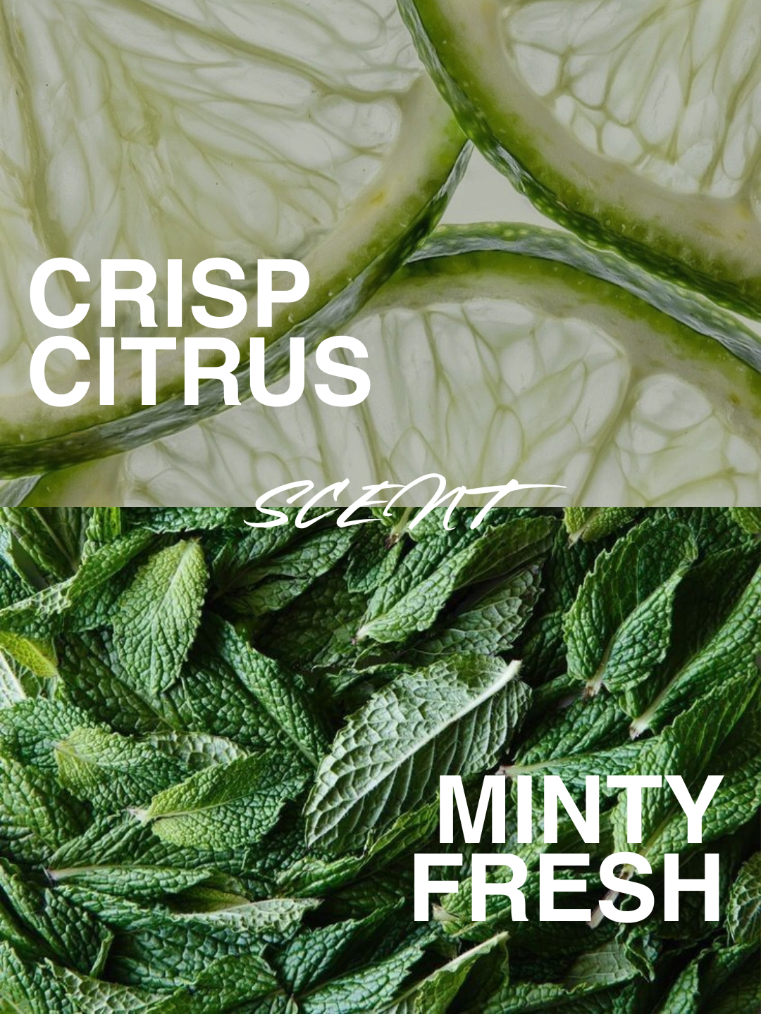 Scalp Booster Hair Shampoo